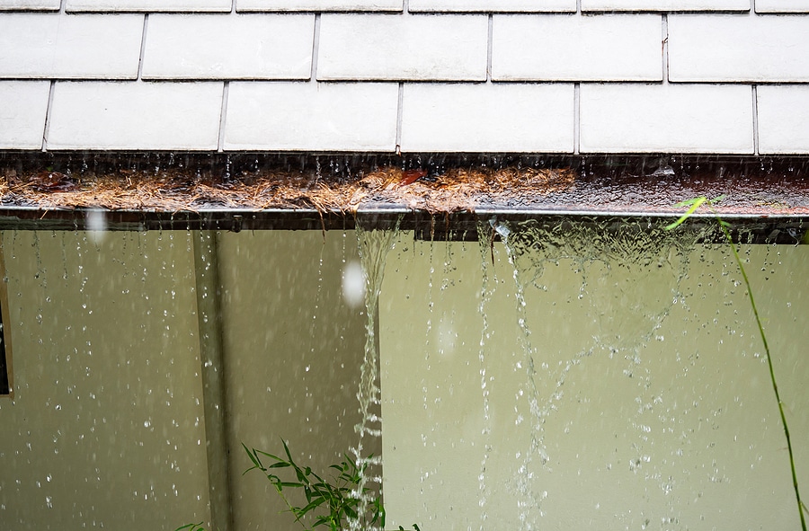 Why Gutter Protection Is a Must in Florida’s Rainy Season
