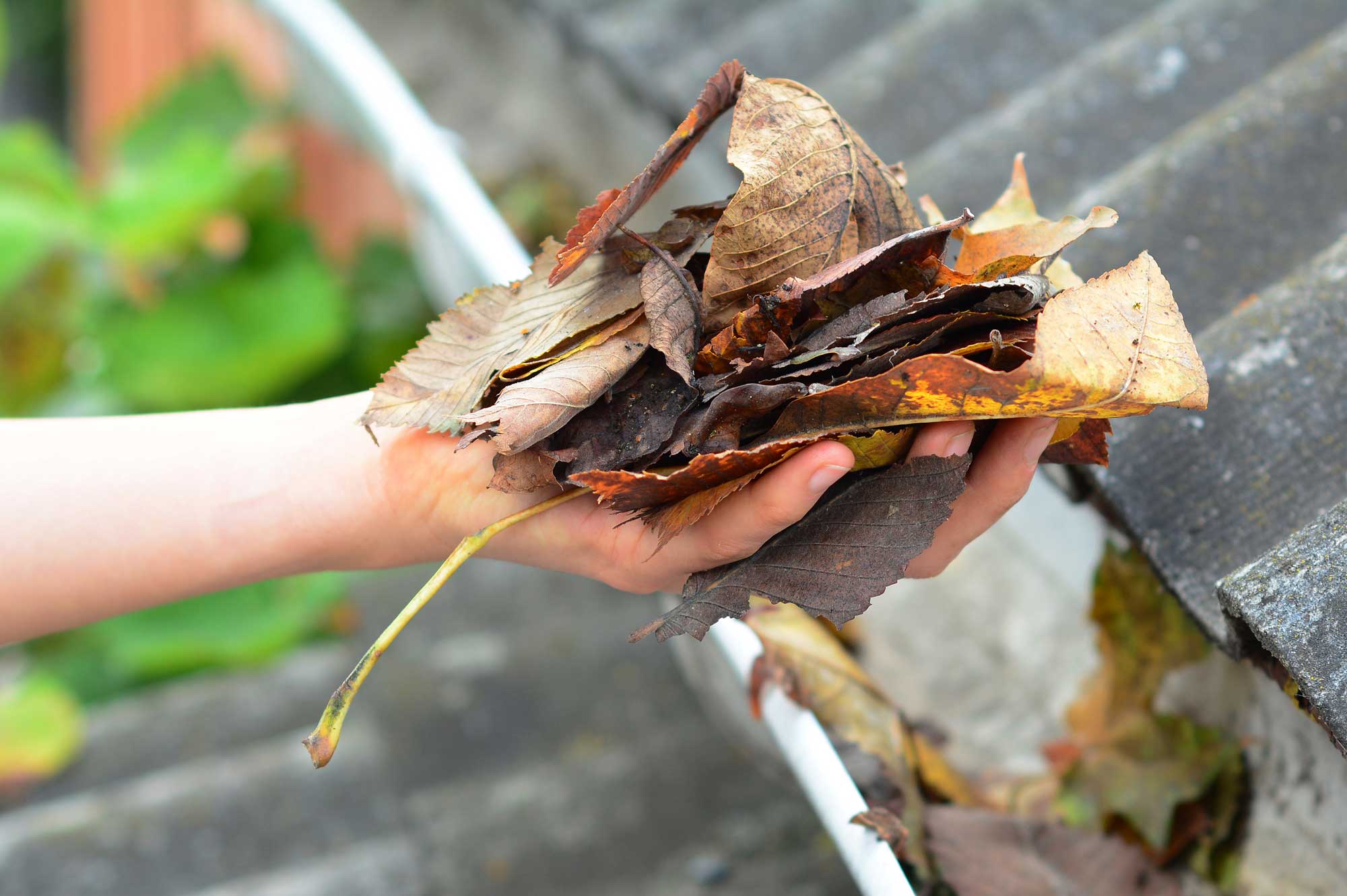 3 Reasons to Have Your Gutters Regularly Cleaned